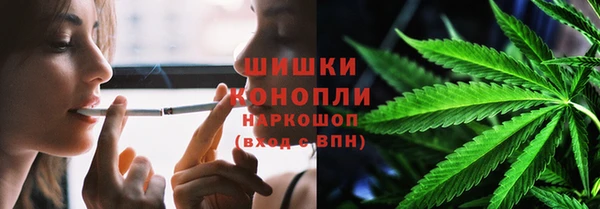 шишки Михайловка