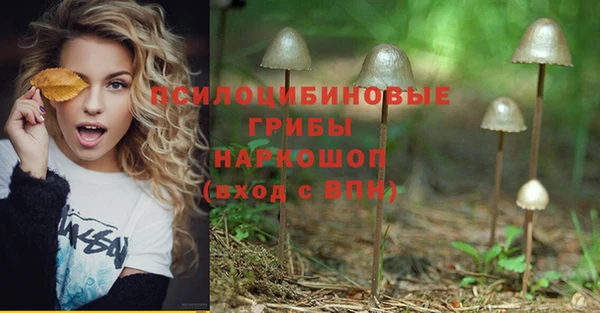 ECSTASY Михайловка