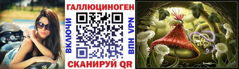 купить закладку  Тутаев  Псилоцибиновые грибы GOLDEN TEACHER 